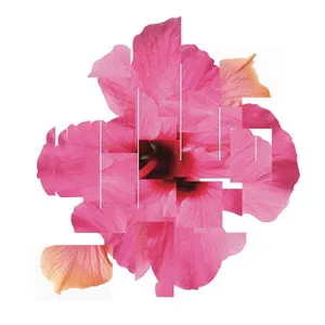 Orchestral variations V.01